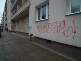 Jak obniżyć koszty remontu po niechcianym graffiti?