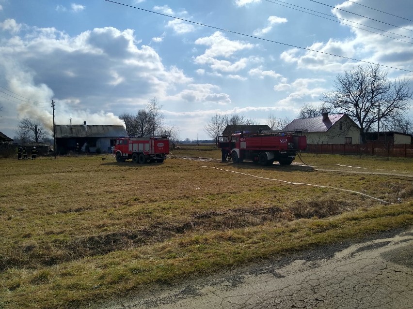 Pożar domu w Szwagrowie w gminie Osiek. 10 zastępów straży pożarnej w akcji