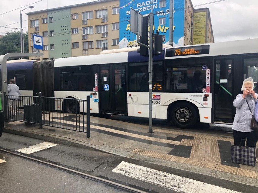 Autobus linii 75 jeździ po torach dla tramwajów (linii 7 i...