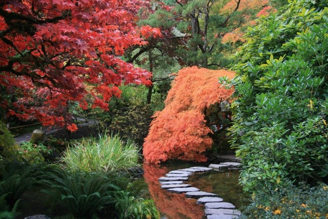 Założenie prawdziwego ogrodu japońskiego jest trudne, warto jednak ten styl wykorzystać jako inspirację przy aranżacji ogrodu.