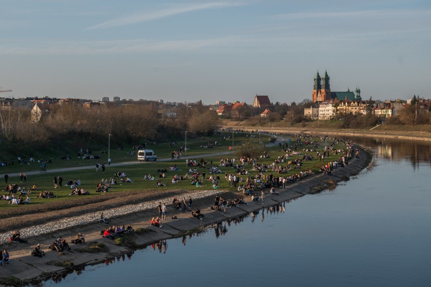 Wiosenna pogoda sprzyja gromadzeniu się mieszkańców Poznania...