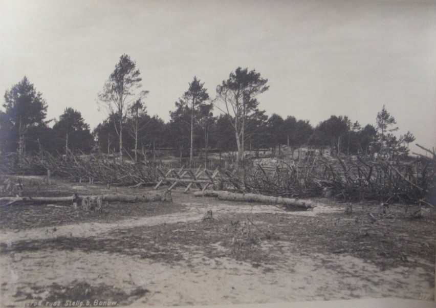 1915 r. Rosyjskie pozycje pod wsią Bonów.