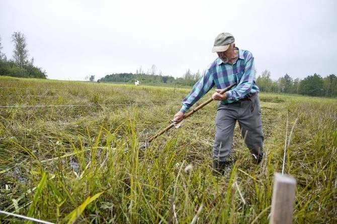 Trzeba wykosić łąki do końca lipca, bo potrącą z dopłat | Gazeta Współczesna