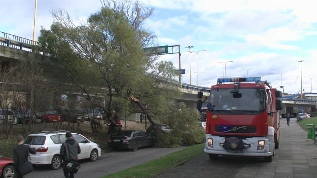 Gałąź spadła przy Trasie Zamkowej