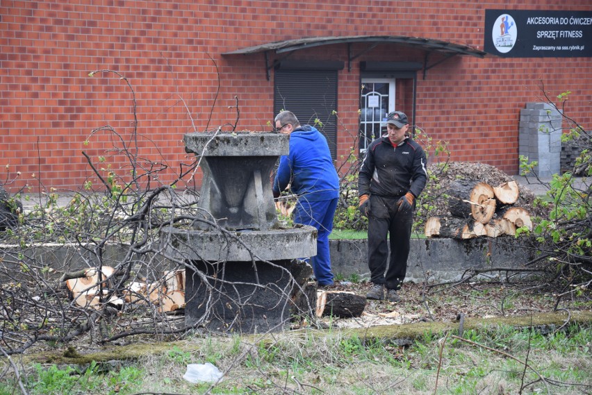 Rybnik: Wycięli park przy dawnym kinie Hutnik