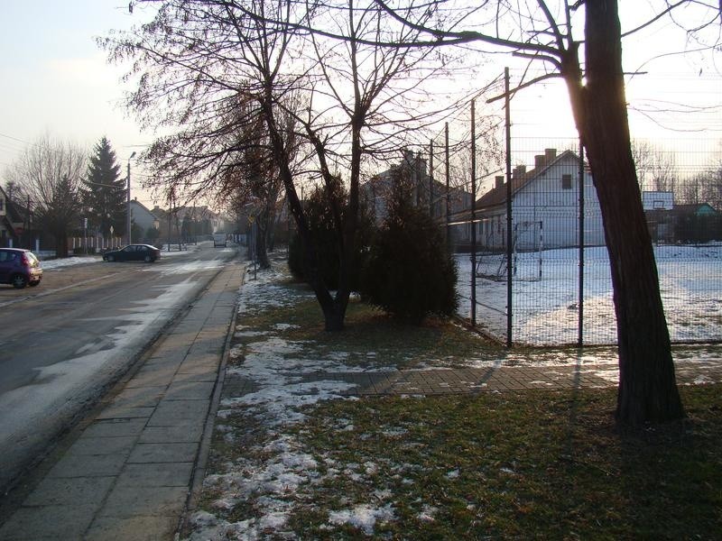 Mieszkańcy Łęk boją się chodzić po ulicy Akacjowej, gdzie odbywają się nielegalne rajdy