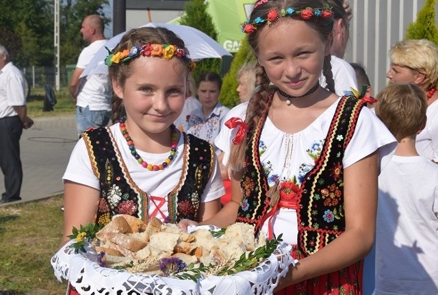 Tłumy mieszkańców z całego powiatu i gości bawiły się w niedzielę, 1 września na Dożynkach Powiatu Pińczowskiego. W tym roku powiatowe święto plonów zorganizowano w Michałowie. Rozpoczęło się tradycyjnie mszą świętą w intencji rolników. Następnie korowód dożynkowy z pięcioma wieńcami przeszedł na teren placu przy muszli koncertowej. Tam na rozpoczęcie części obrzędowej starostowie dożynek przekazali bochen chleba na ręce wójta gminy Michałów Mirosława Walaska i starosty powiatowego Zbigniewa Kierkowskiego. Zaszczytne funkcje starostów sprawowali Aneta Wykurz ze Skowronna Dolnego oraz Jarosław Majcher z miejscowości Jelcza Wielka. Przedstawiciele władzy obiecali dzielić go sprawiedliwie, a następnie częstowali chlebem wszystkich zgromadzonych. Pomagały im dzieci ze szkoły w Michałowie. Jak tradycja nakazuje wieńce zostały pięknie ośpiewane. Przez cały ten czas komisja konkursowa przyglądała się dziełom i je oceniała. Dyskusja toczyła się zażarta, gdyż członkowie jury mieli dwóch faworytów. Po dyskusji i ocenie merytorycznej (zgodność z wymogami konkursowymi) komisja zdecydowała, że pierwsze miejsce otrzymuje wieniec z Pawłowic, reprezentujący gminę Michałów. To on będzie reprezentował powiat na Dożynkach Wojewódzkich w Opatowie. Po części obrzędowej nadszedł czas na przemówienia przedstawicieli władzy i posłów. Podczas wydarzenia starosta powiatu Zbigniew Kierkowski udzielił oficjalnego poparcia Zbigniewowi Koniuszowi, kandydatowi z Prawa i Sprawiedliwości do sejmu. Była to duża niespodzianka, ponieważ jak wiadomo starosta naszego powiatu sympatyzuje z Polskim Stronnictwem Ludowym. Tegoroczne święto plonów zakończyła zabawa z zespołem Blu Rey.