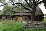 Ten tajemniczy opuszczony dom w środku lasu jest miejscem wycieczek. Miejsce stało się znane w Wielkopolsce. Zobacz zdjęcia
