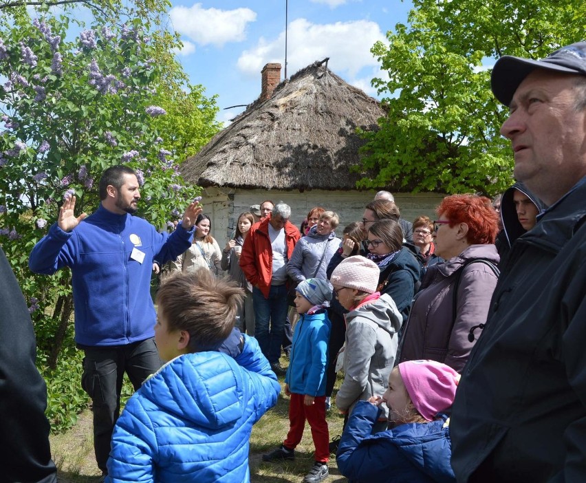 Majówka 2019 w skansenie wsi łowickiej w Maurzycach [ZDJĘCIA]