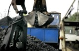 Ceny węgla w Kujawsko-Pomorskiem we wrześniu 2022. Tyle kosztuje węgiel kamienny, ekogroszek i pellet