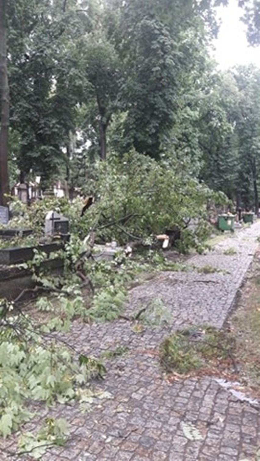 Nawałnica trwała kilkadziesiąt minut, a zniszczenia są...