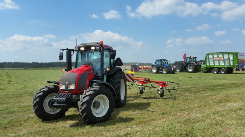 Opolagra 2016 w Kamieniu Śląskim (fot. Radosław Dimitrow).