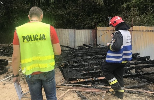 Pożar w hotelu dla zwierząt w Czechowicach - Dziedzicach. Zginęły dwa psy