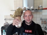 Prawdziwek-gigant waży 1,5 kilograma! Znalazł go grzybiarz w lesie koło Poręby. Co za znalezisko
