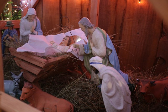 Zobacz, jak wyglądają bożonarodzeniowe szopki w słupskich kościołach.Zobacz także: Pasterka w kościele Mariackim w Słupsku
