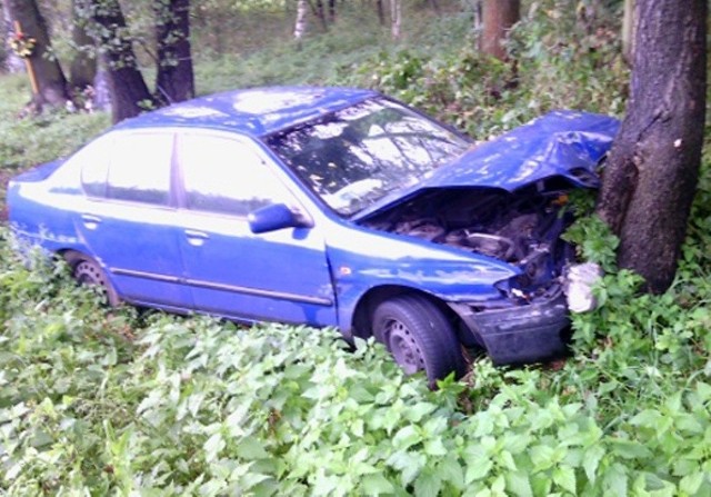 Auto uderzyło w drzewo. Na szczęście nikomu nic się nie stało.