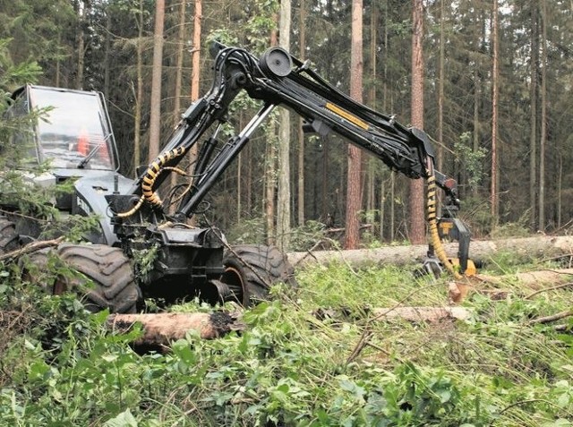 Według ekologów, taki sprzęt w Puszczy Białowieskiej nie tylko ułatwia wycinkę, ale i robi szkody w pokrywie gleby.