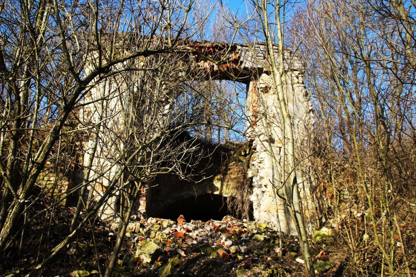 Tak kilka lat temu wyglądały ruiny na wzgórzu zamkowym w Szczebrzeszynie