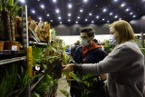 Katowice. Festiwal Roślin w MCK przyciąga tłumy. Na półkach są setki roślin doniczkowych. Część z nich przywieziono prosto z hodowli