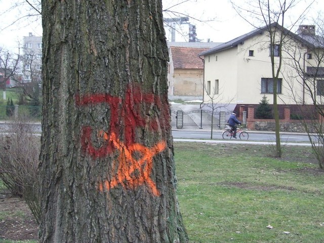 W parku przy amfiteatrze gmina wycięła kilka drzew. Następne czekają na ścięcie. W ramach modernizacji tego terenu ma tu powstać nowoczesne miejsce zabaw dla dzieci