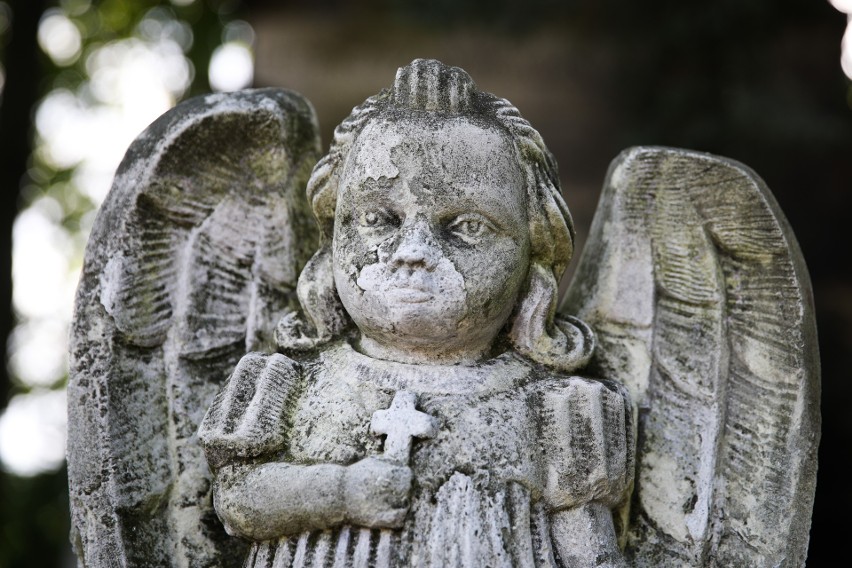 Z cyklu krakowskie cmentarze: Salwator - groby piękne, niezwykłe, dzieła sztuki [ZDJĘCIA]