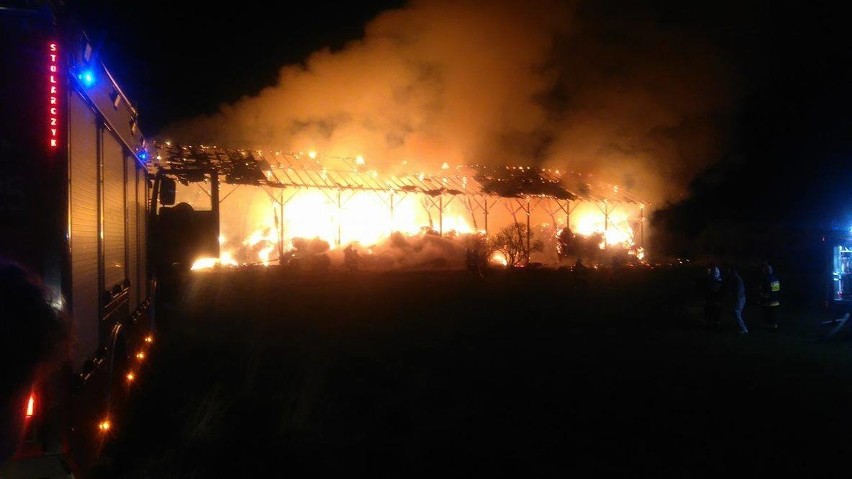 Pożar w miejscowości pod Goleniowem. 5 zastępów straży jest na miejscu