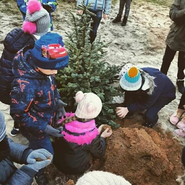 Warsztaty Mikołajkowe w Zaborze. Połączenie tradycji i ekologii.