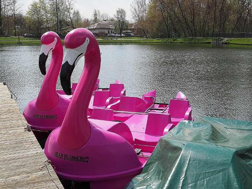 Łódzkie kąpieliska i przystanie otwierają się z początkiem wakacji. W Łodzi będzie można popływać na różowych flamingach
