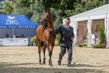 Uroczyste obchody 70-lecia Stadniny Koni w Michałowie. Zobaczcie zdjęcia