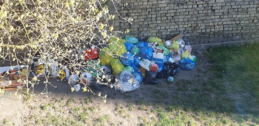 Święta zasypane śmieciami. Bydgoszcz tonie w stertach odpadów. Grasują już karaluchy