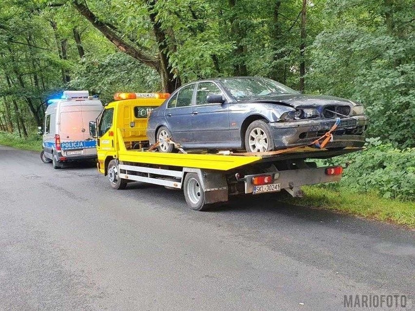 Kolizja bmw z dzikiem w Turawie-Marszałkach.