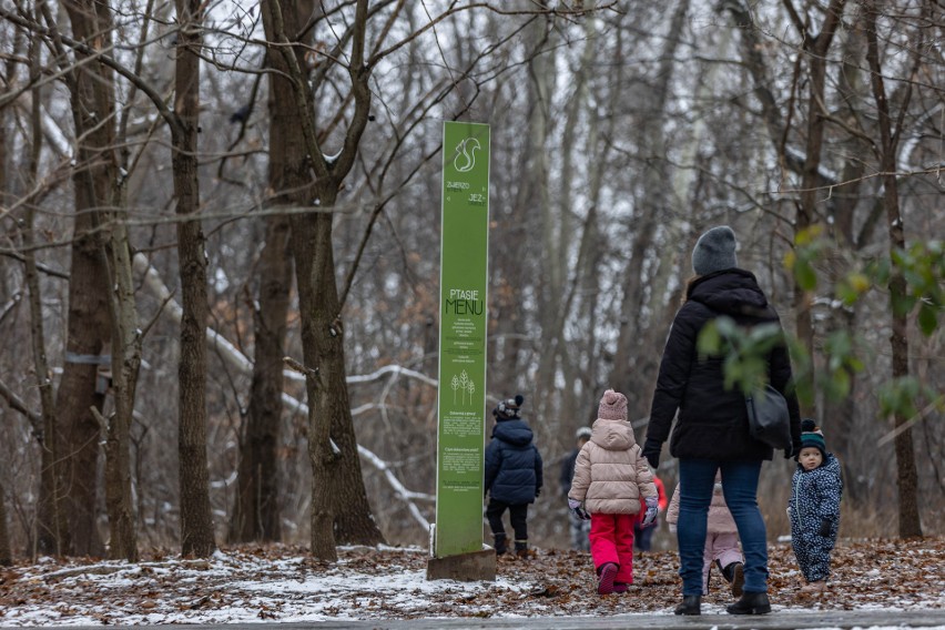 Kraków. Odmienili Park Aleksandry. Powstały nowe alejki, mostki, nasadzają zieleń [ZDJĘCIA] 