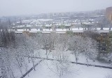 Pogoda w Łodzi. Śnieg na jezdniach i chodnikach. Zasypane osiedla. Jak dojechaliście dziś do pracy? 