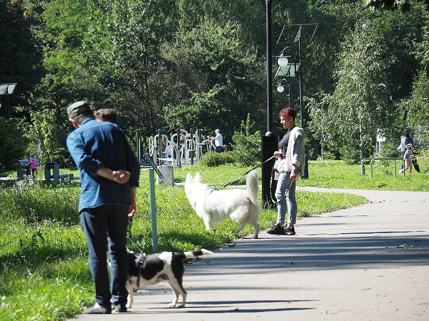 Weekend na Młynku - łodzianie wypoczywali nad wodą 