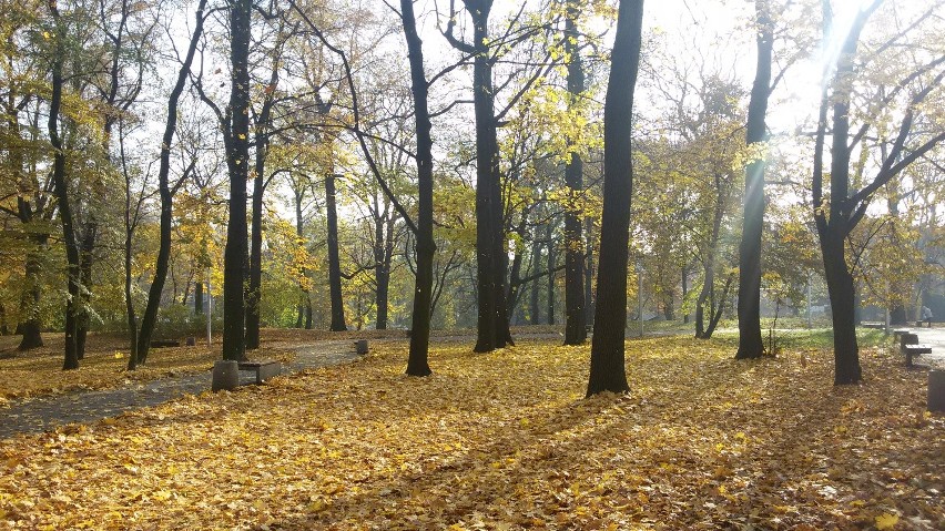 Jesień w Parku Zamkowym w Mysłowicach