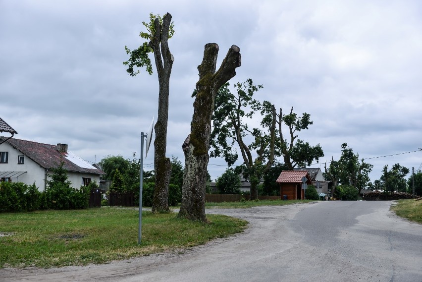 Rok po nawałnicy na Pomorzu