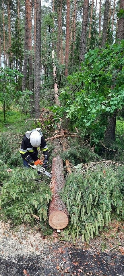 Skutki burz w regionie. 20-21.06.2020 strażacy usuwali powalone drzewa, wypompowywali wodę z pomieszczeń. Zdjęcia