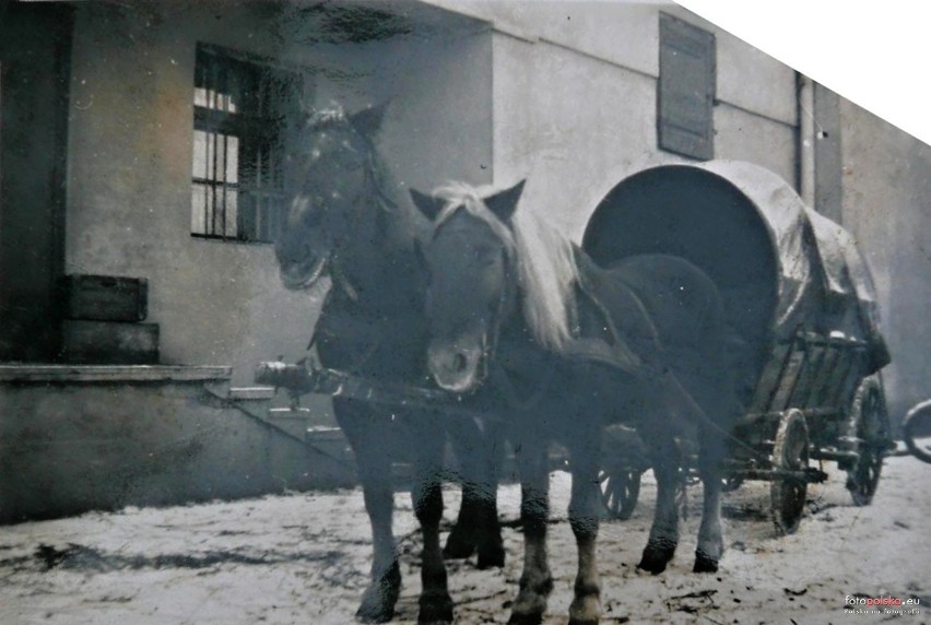 Lata 1941-1942 , Rozlewnia piwa w Rozwadowie, zima 1941/42