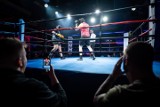 Katowice. Pierwsza w historii katowicka gala Biznes Boxing Polska już w grudniu. Uczestnicy zbierać będą fundusze dla hospicjum Cordis
