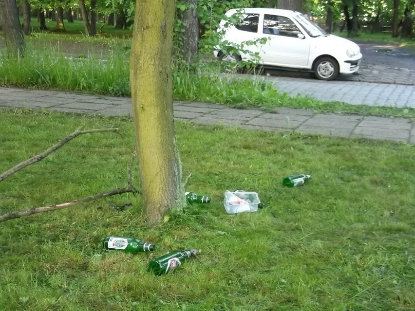 Wielkie sprzątanie na Wittigowie. Studenci dali pracę wrocławianom (ZDJĘCIA)