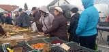 Ceny owoców i warzyw na targu w Jędrzejowie w czwartek 16 listopada. Pojawiło się wiele suszonych śliwek. Zobacz zdjęcia