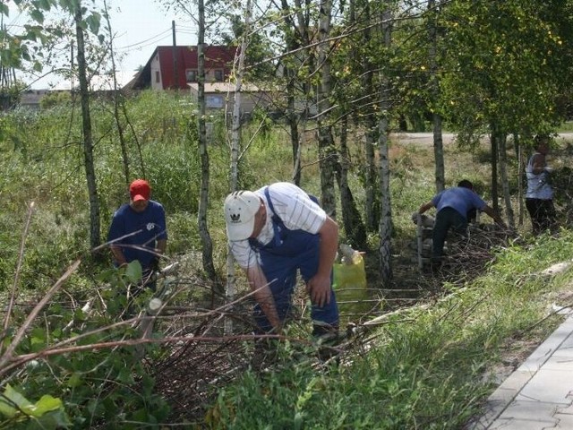 Pozyskani z urzędu pracy i... aresztu pracownicy czyszczą rowy melioracyjne i przepusty na osiedlach rolniczych w Tarnobrzegu.