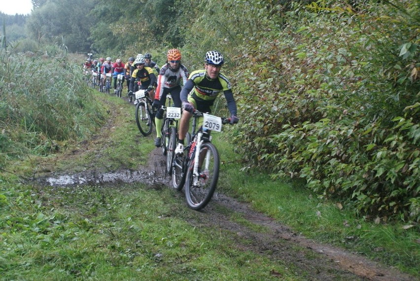 Skandia Maraton Lang Team w Dąbrowie Górniczej