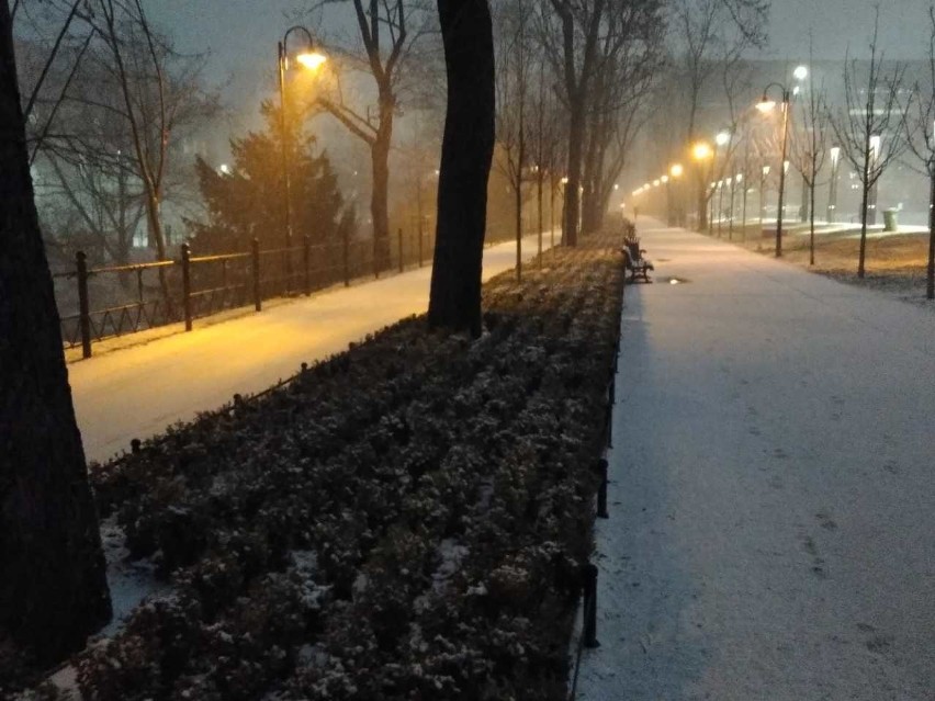 Sypnęło śniegiem we Wrocławiu. Momentalnie zrobiło się biało (ZDJĘCIA)