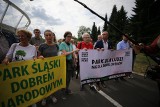 Marsz Milczenia Dla Drzew. Protest przeciw inwestycji przy Parku Śląskim ZDJĘCIA Deweloper ma zezwolenie na wycinkę ponad 1300 drzew