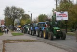 Protest rolników w Ostrowi Mazowieckiej. Blokowali ulicę 3 Maja, 21.10.2020. Zdjęcia, wideo