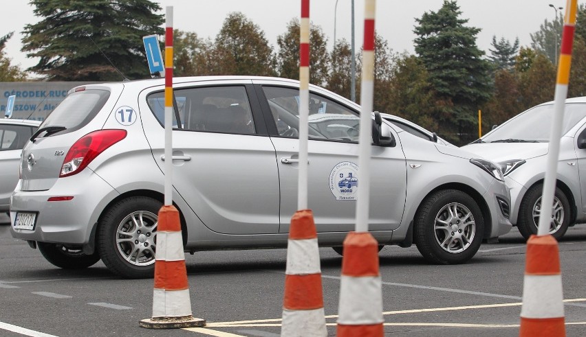 Zmiany w prawie jazdy dla kierowców. Obowiązkowe ekstra kursy dla początkujących i doświadczonych. Prawo jazdy po nowemu? [21. 5. 2019 r.]