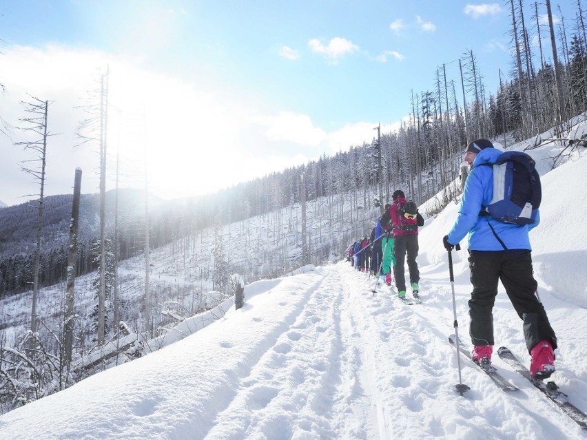 Tatry. Skitourowy raj w górach. Łapią każdy dzień pogody [ZDJĘCIA]