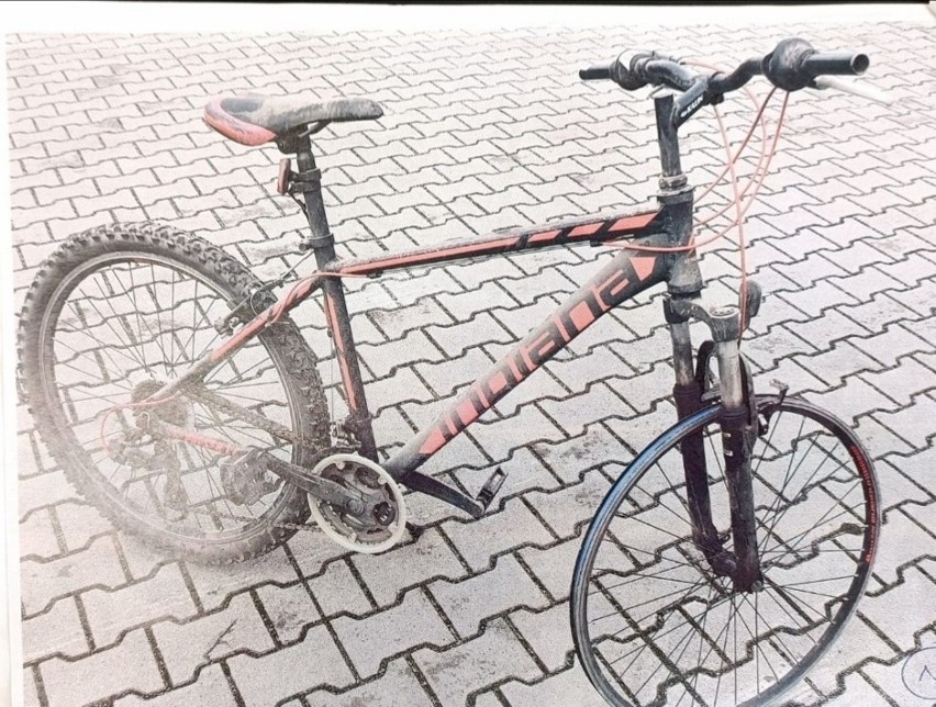 Skradzione rowery odzyskane przez ostrołęcką policję. Zobaczcie zdjęcia jednośladów
