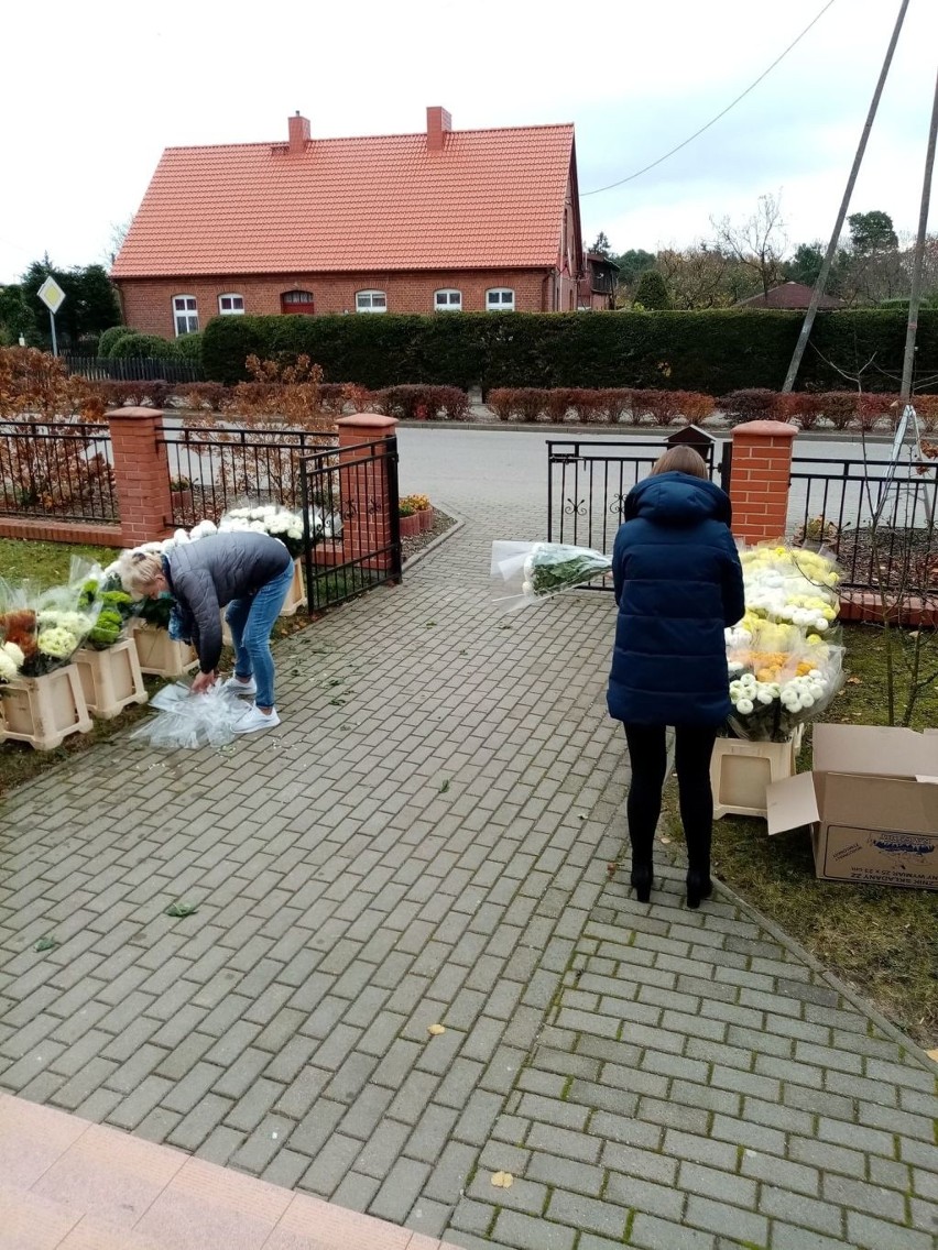 Pomoc dla ogrodników w Kołczygłowach. Kwiaty za nakrętki